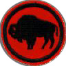 thumbs/_americanbison03.jpg