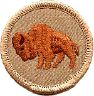thumbs/_americanbison07.jpg