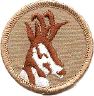 thumbs/_antelope07.jpg