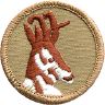 thumbs/_antelope07a.jpg