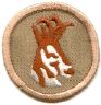 thumbs/_antelope07b.jpg