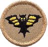 thumbs/_bat07.jpg