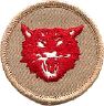 thumbs/_bobcat07a.jpg