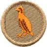 thumbs/_bobwhite7a.jpg