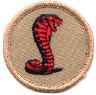 thumbs/_cobra07.jpg