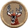 thumbs/_custombuck07.jpg