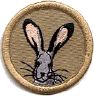 thumbs/_customhare07.jpg