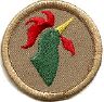 thumbs/_customrooster07.jpg