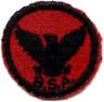 thumbs/_flyingeagle04.jpg