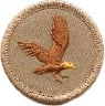 thumbs/_flyingeagle07.jpg
