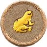 thumbs/_frog07a.jpg