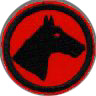 thumbs/_horse03.jpg