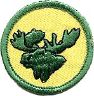 thumbs/_moose06a.jpg
