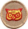 thumbs/_owl07.jpg
