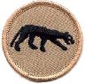 thumbs/_panther07a.jpg