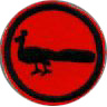 thumbs/_peacock03.jpg