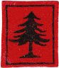 thumbs/_pinetree02.jpg