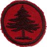 thumbs/_pinetree03.jpg