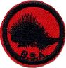 thumbs/_porcupine05.jpg