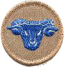 thumbs/_ram07a.jpg