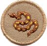 thumbs/_rattlesnake07.jpg