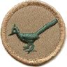 thumbs/_roadrunner07a.jpg
