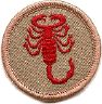 thumbs/_scorpion07.jpg