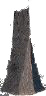 thumbs/_whippoorwill01.jpg